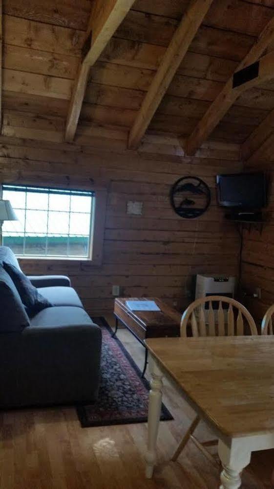 Box Canyon Cabins Seward Extérieur photo