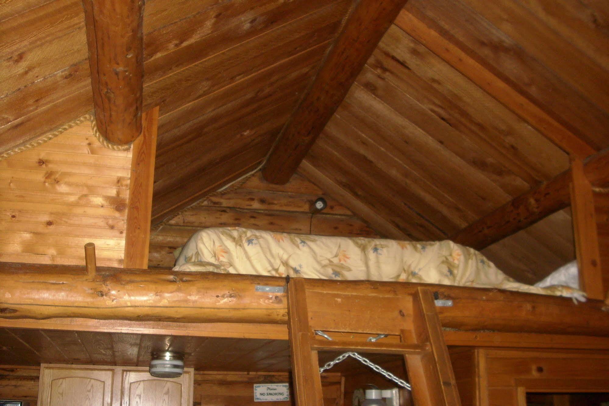 Box Canyon Cabins Seward Extérieur photo