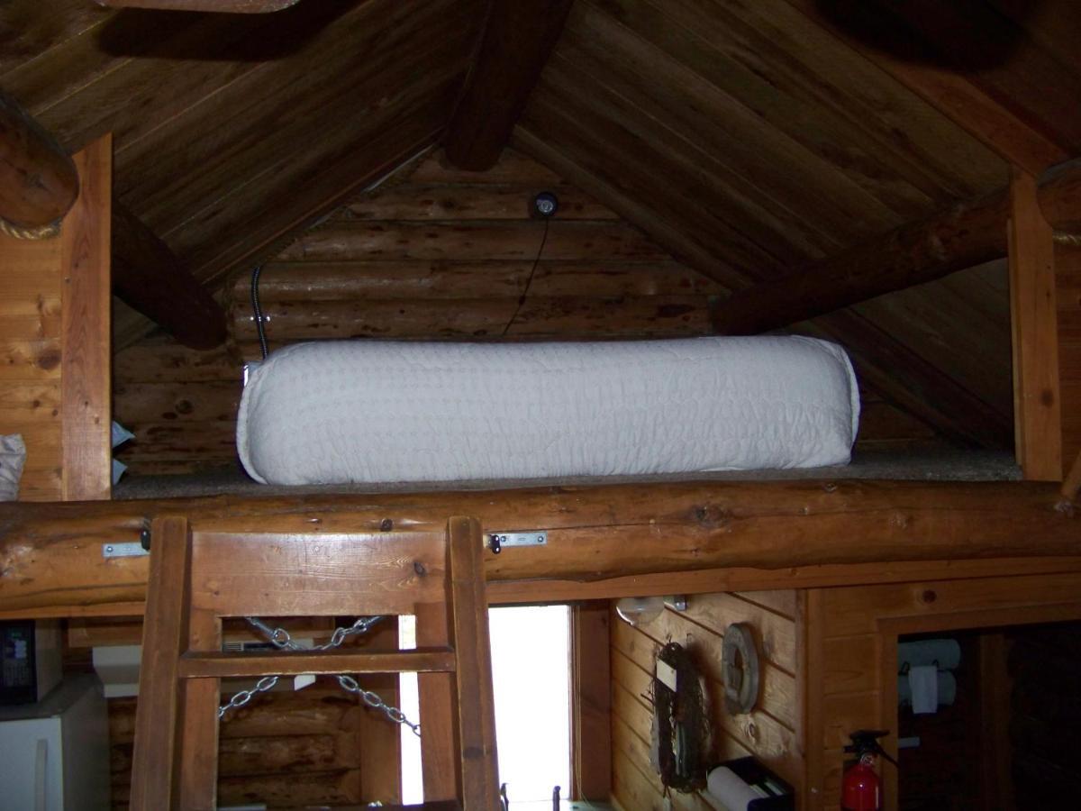 Box Canyon Cabins Seward Extérieur photo