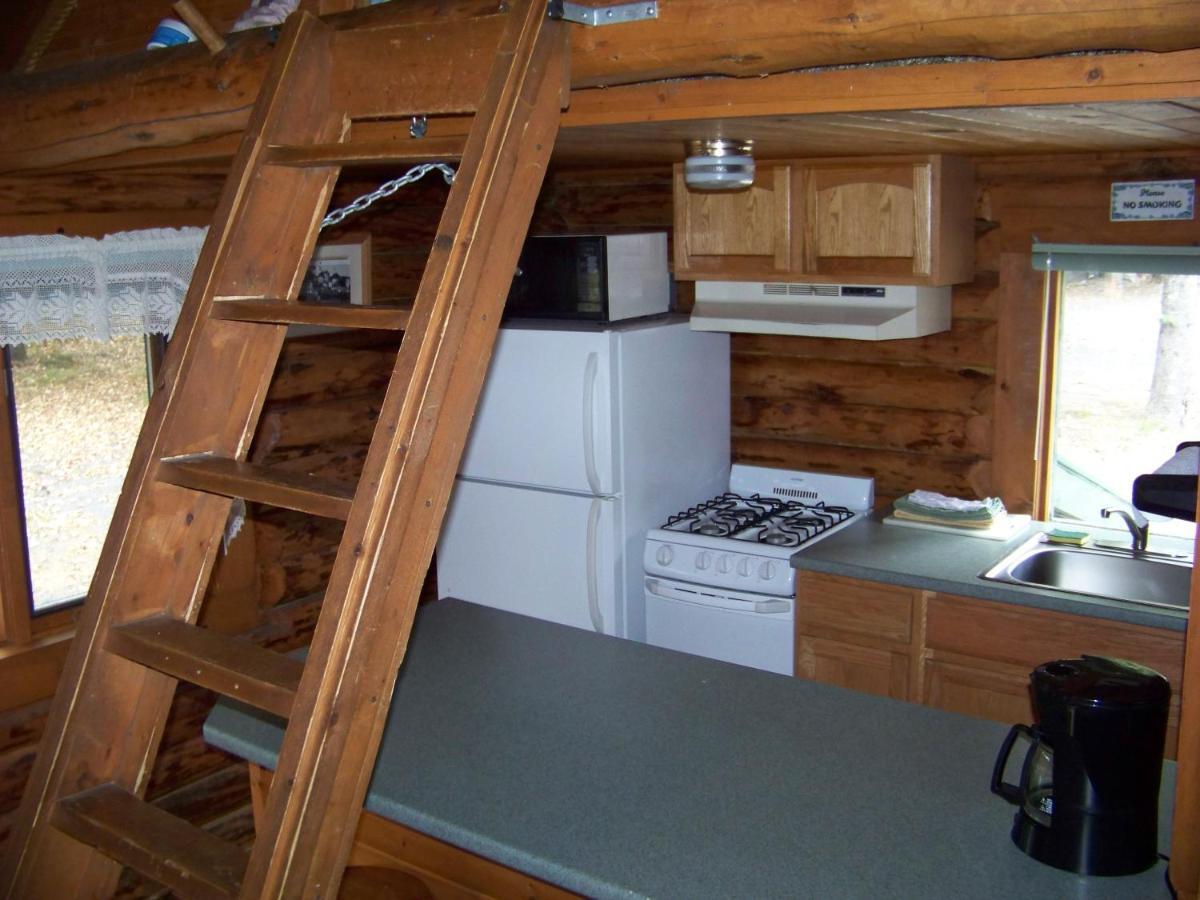 Box Canyon Cabins Seward Extérieur photo