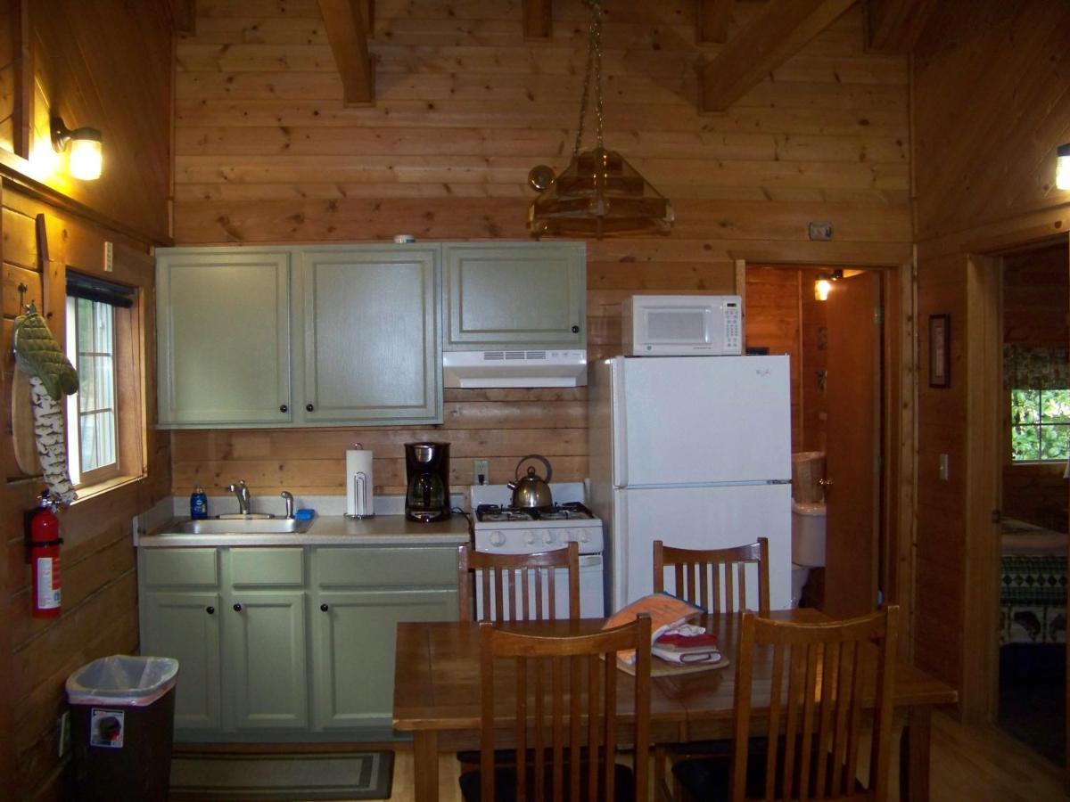Box Canyon Cabins Seward Extérieur photo